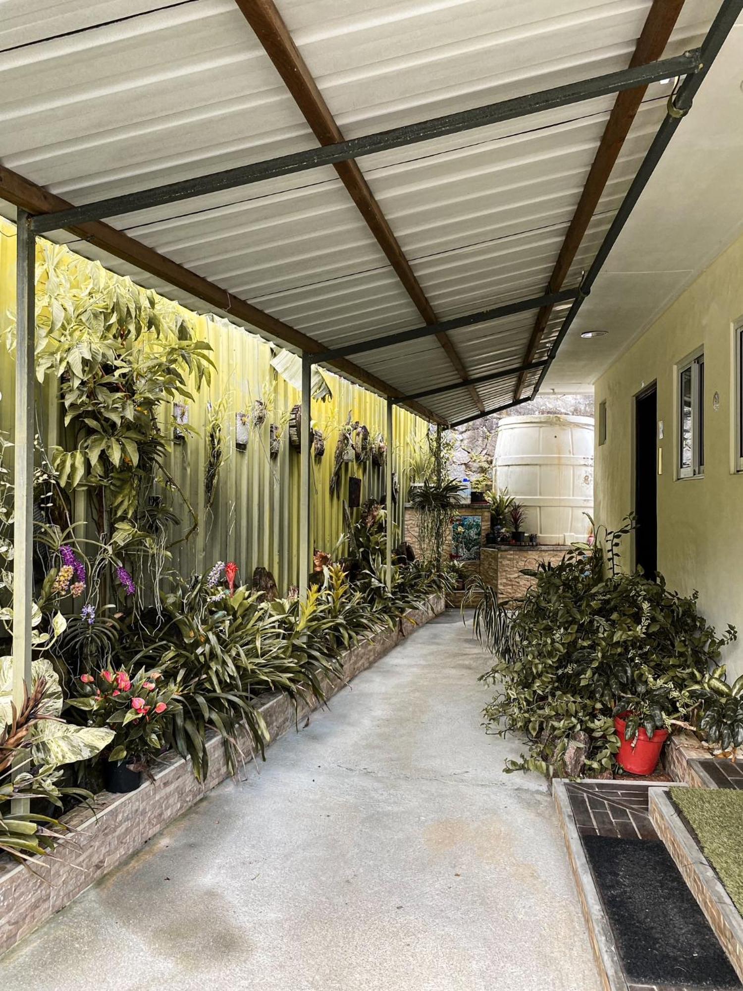 Anse Norwa Self Catering Daire Beau Vallon  Dış mekan fotoğraf